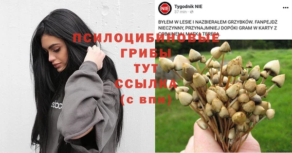 стаф Дмитриев