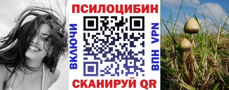 наркота  Очёр  Псилоцибиновые грибы прущие грибы 
